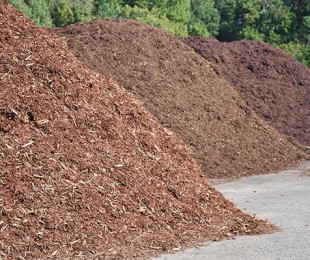 bigstock-Mulch-47528761