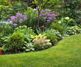 bigstock-Lush-landscaped-garden-with-fl-62068106